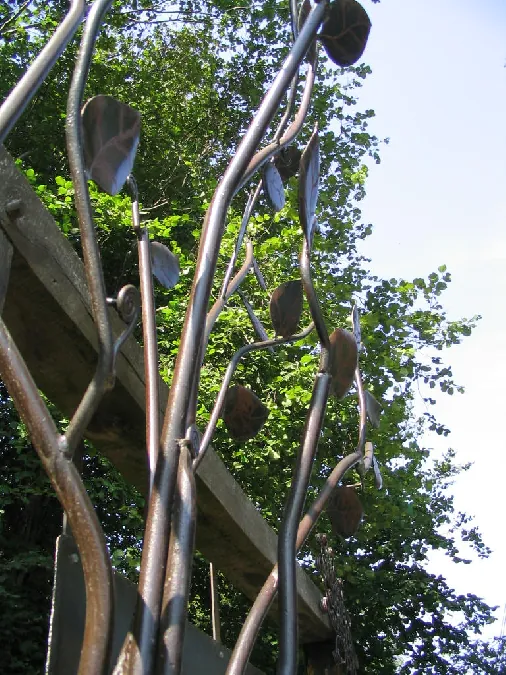 Randonnée le bois de Murols Mur-de-Barrez Occitanie