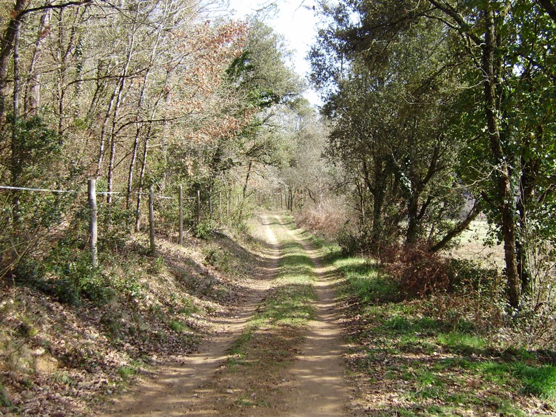 Sentier de la Falaise Saint-Cirq-Madelon Occitanie