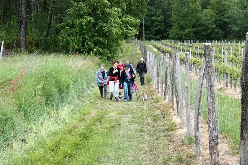 Boucle du Talley à Montignac Montignac Nouvelle-Aquitaine