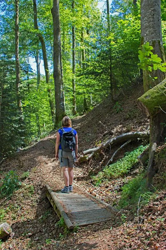 RANDONNÉE LE DRUMONT PAR LE SENTIER DES RUSSIERS Bussang Grand Est