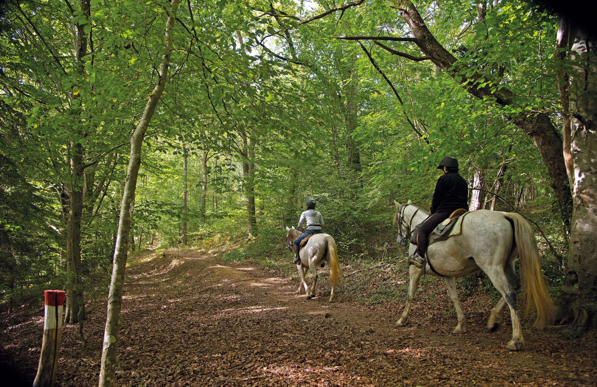 Lembeye la vallée du Vic-Bilh à cheval Lembeye Nouvelle-Aquitaine