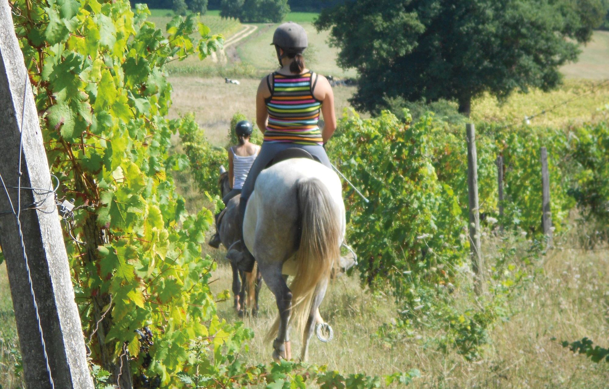 Moncaup au cœur du Madiranais à cheval Moncaup Nouvelle-Aquitaine