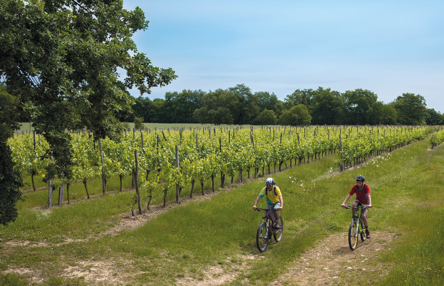 Moncaup au cœur du Madiranais à VTT Moncaup Nouvelle-Aquitaine