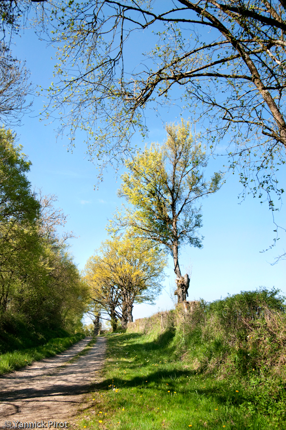 Les Sorciers Rezay Centre-Val de Loire