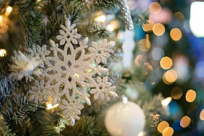 Marché de Noël de Donnery Salle des fêtes et parking extérieur Donnery