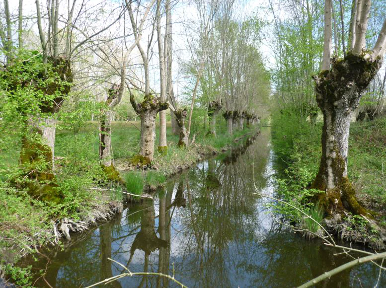 Au fil du Mignon en écomobilité + TER Mauzé-sur-le-Mignon Nouvelle-Aquitaine