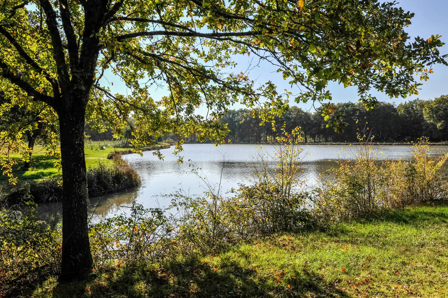 Les mares Usages anciens et actuels Ligny-le-Ribault Centre-Val de Loire