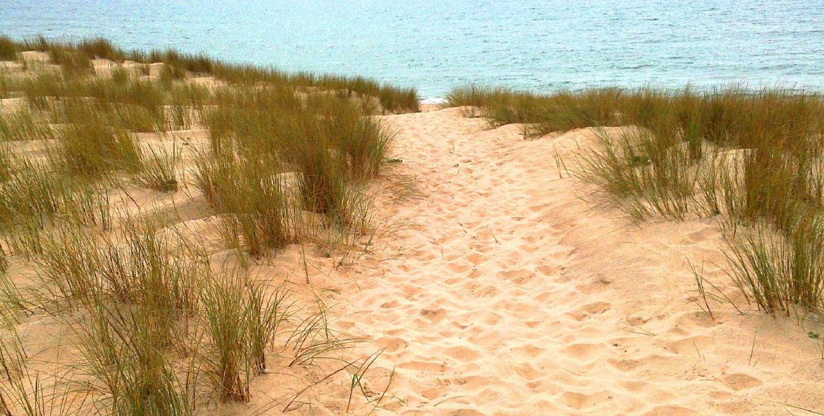 Liaison équestre Lacanau Le Porge Lacanau Nouvelle-Aquitaine