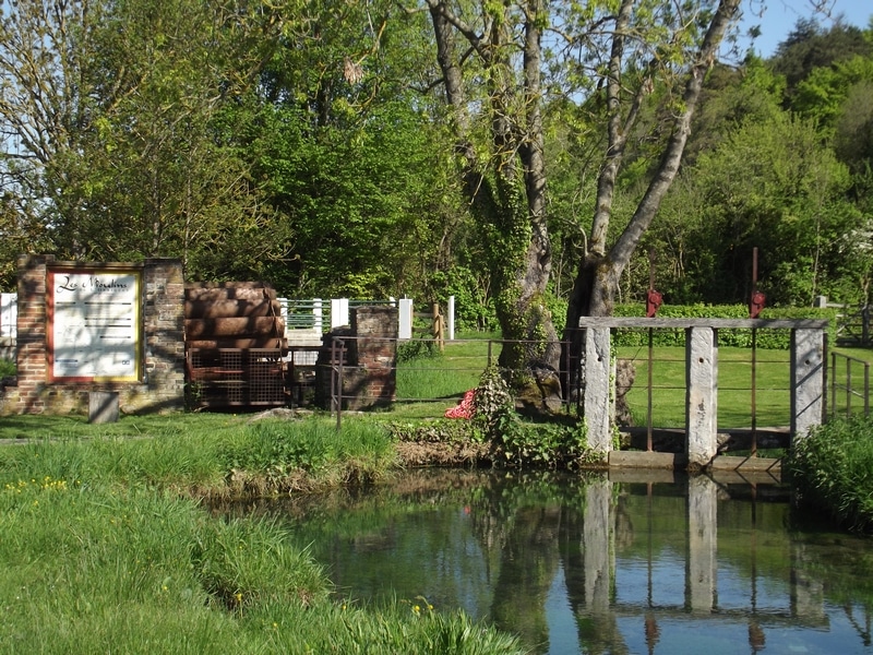 LA FOLLETIERE ABENON Le retour aux sources 12