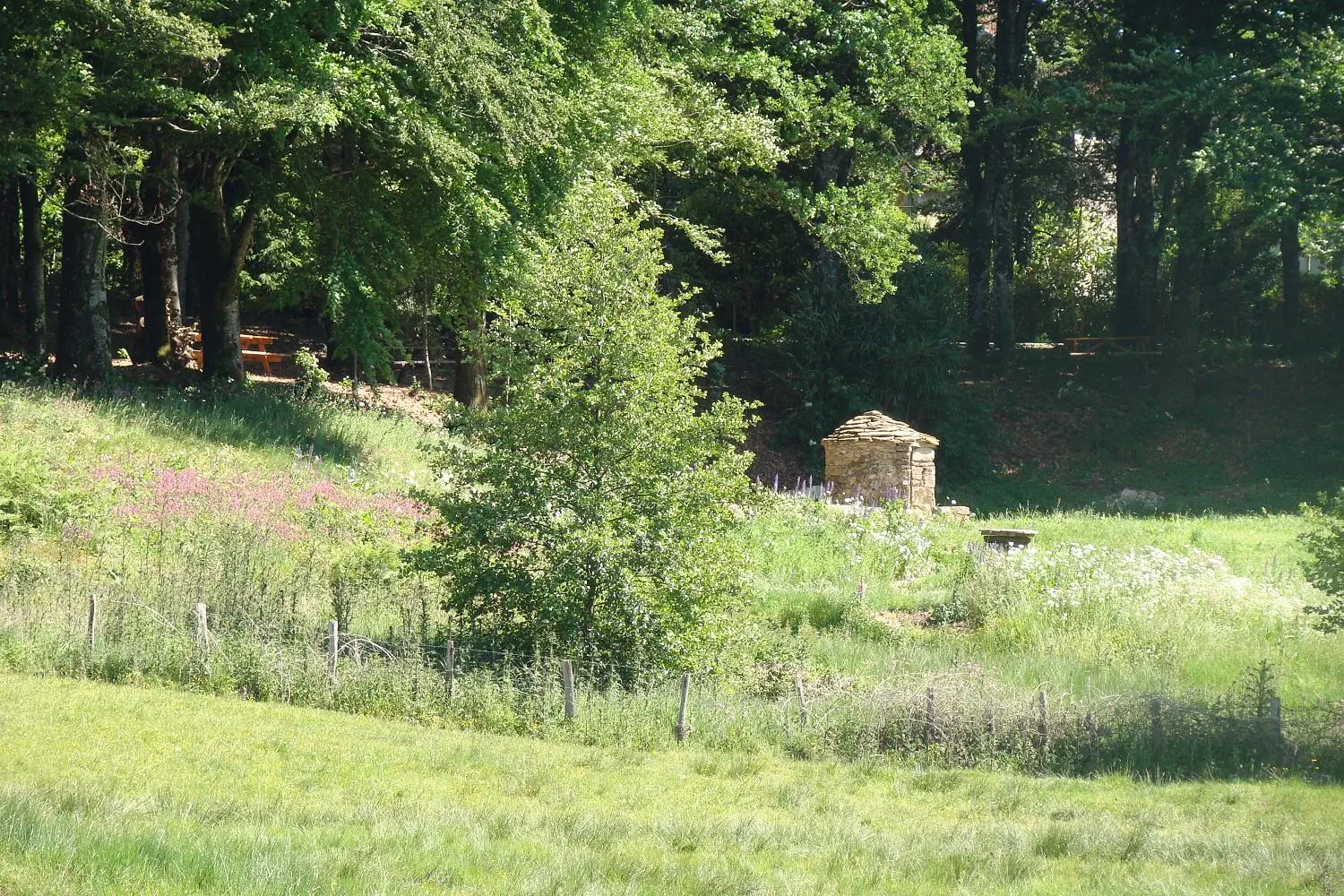 Boucle des trois Châteaux Saint-Pierre-de-Frugie Nouvelle-Aquitaine