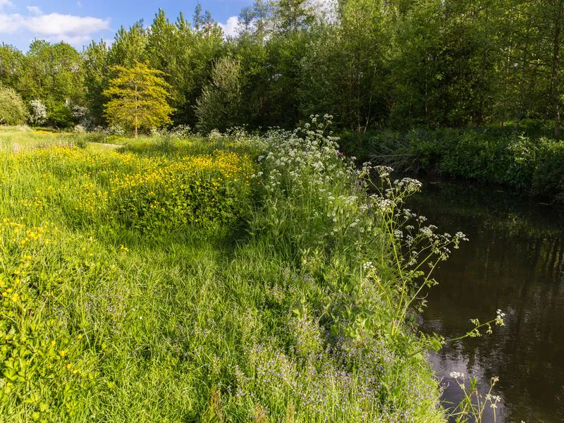 Sentier nature de la vallée de l'Aure Bayeux Normandie