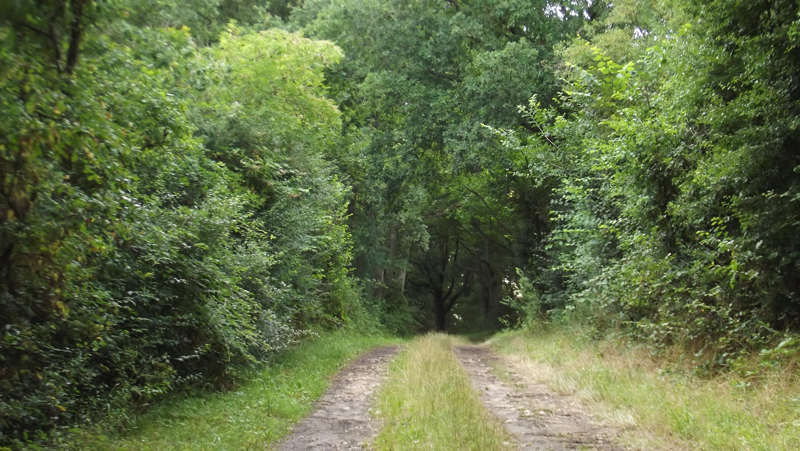 Circuit du chemin Perré Thou Centre-Val de Loire