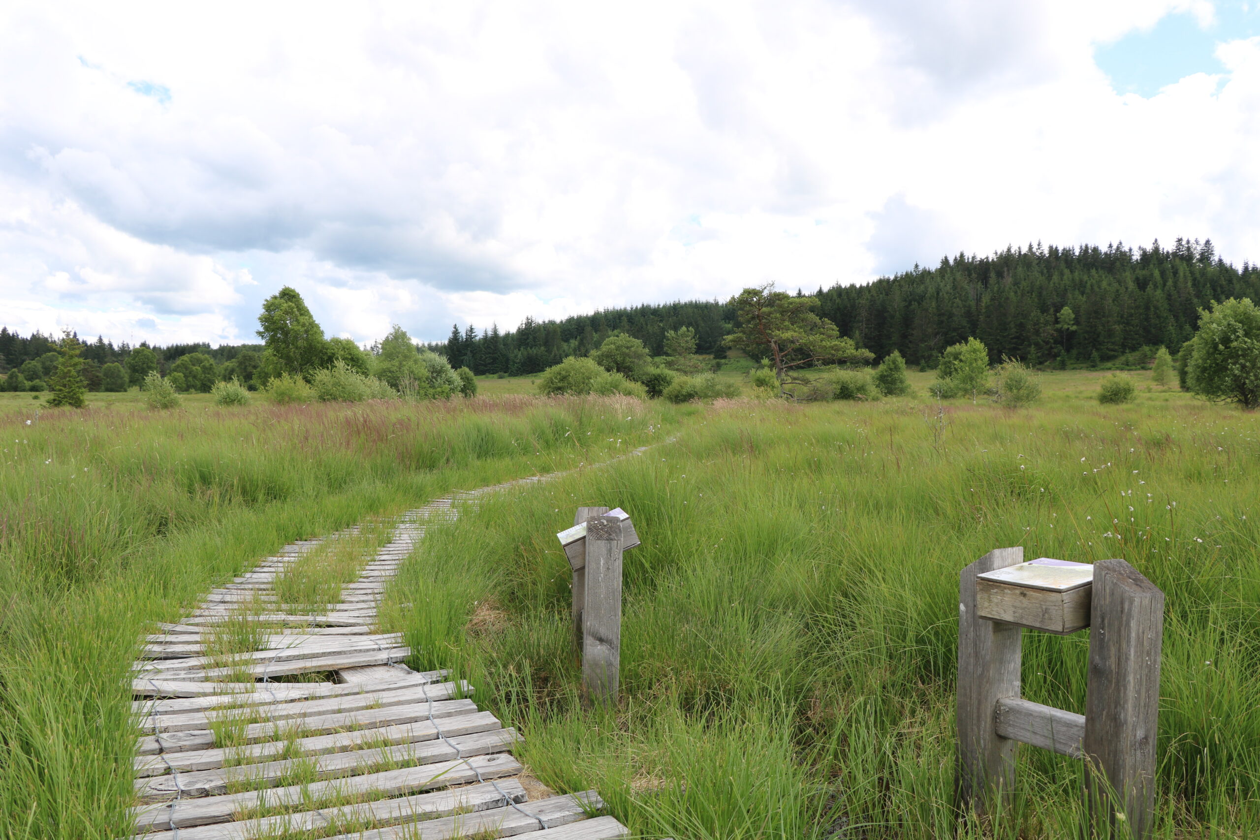 Sentier d'interprétation des Linaigrettes Saint-Merd-les-Oussines Nouvelle-Aquitaine