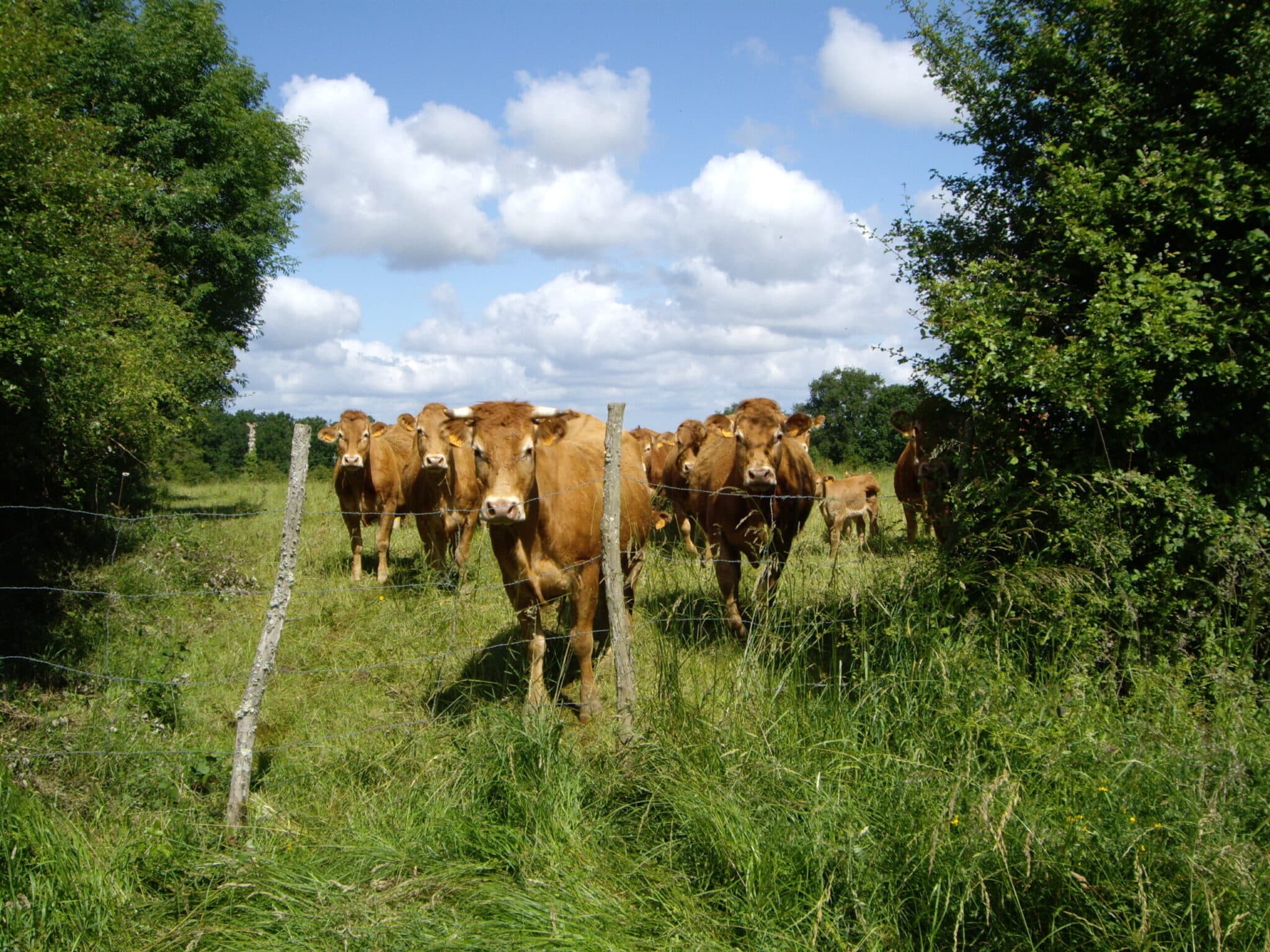 Le Chemin de la terre aux pots Bazaiges Centre-Val de Loire