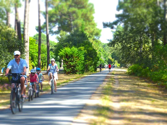 Le tour d'Arès à bicyclette Arès Nouvelle-Aquitaine