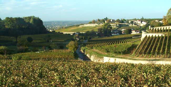 Boucle vélo La route des vins en famille Saint-Émilion Nouvelle-Aquitaine