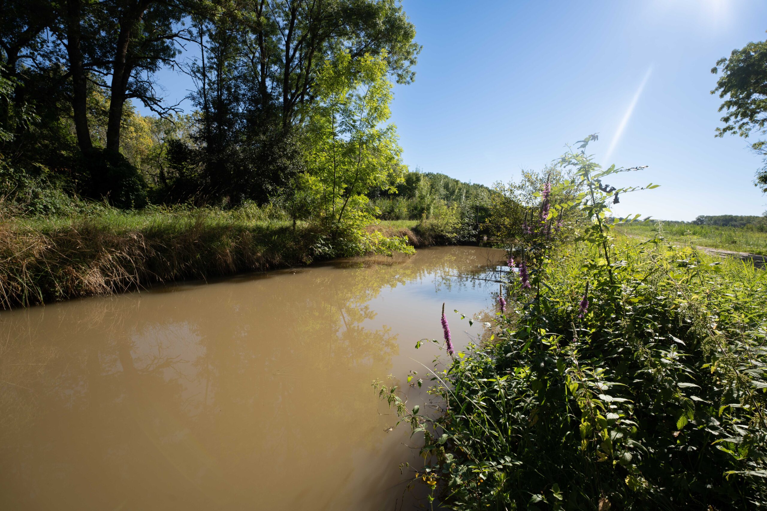 La Voie du Liron Saint-Laurent-Médoc Nouvelle-Aquitaine