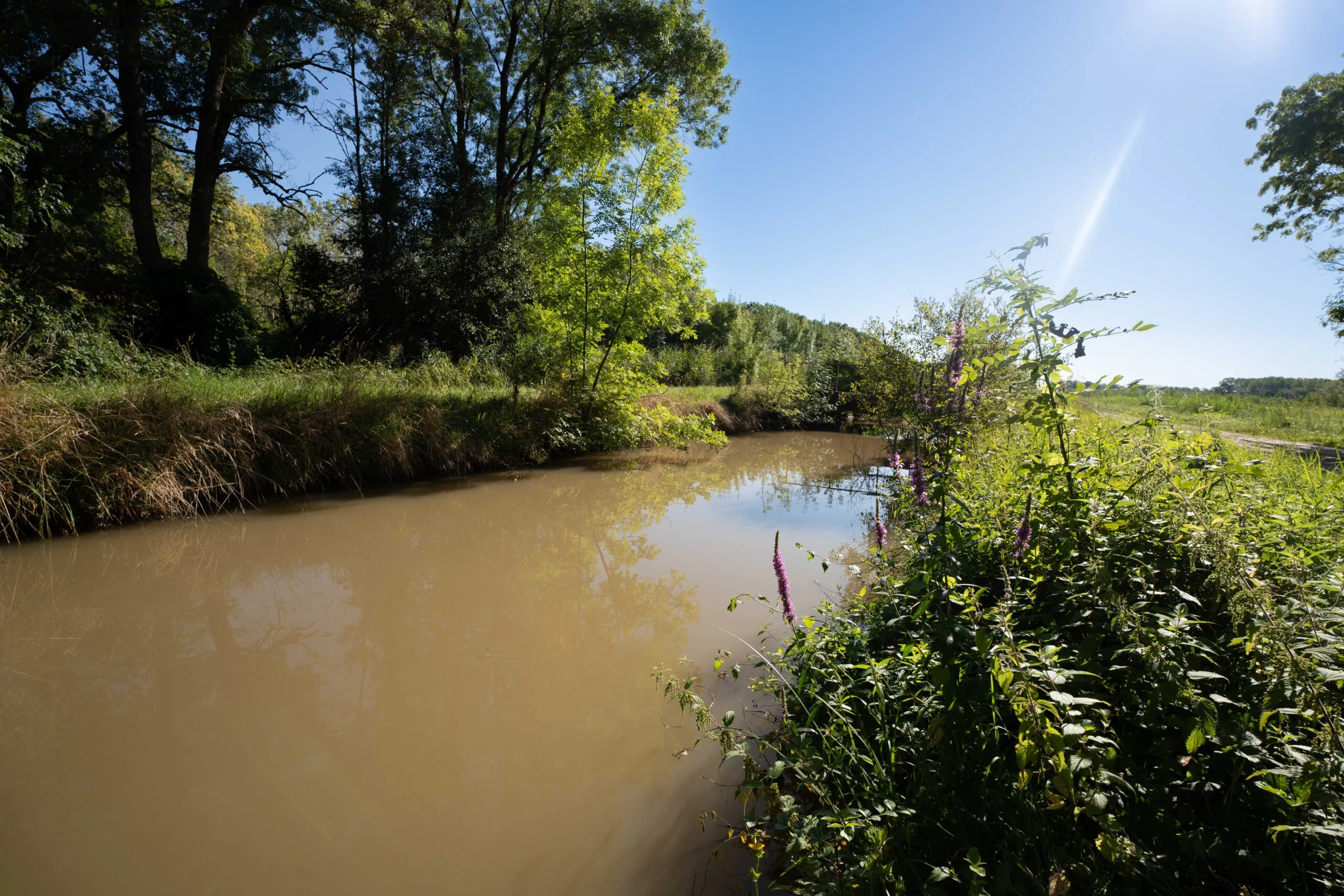 La Voie du Liron Saint-Laurent-Médoc Nouvelle-Aquitaine