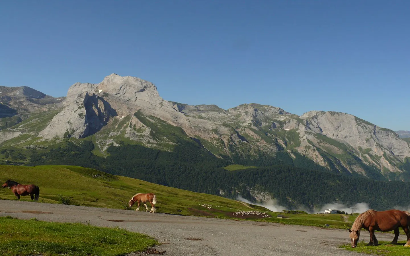 La descente Col d'Aubisque/Louvie-Soubiron Eaux-Bonnes Nouvelle-Aquitaine