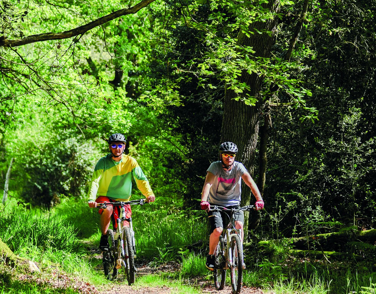 De Sauvagnon à la forêt de Bastard à VTT Sauvagnon Nouvelle-Aquitaine