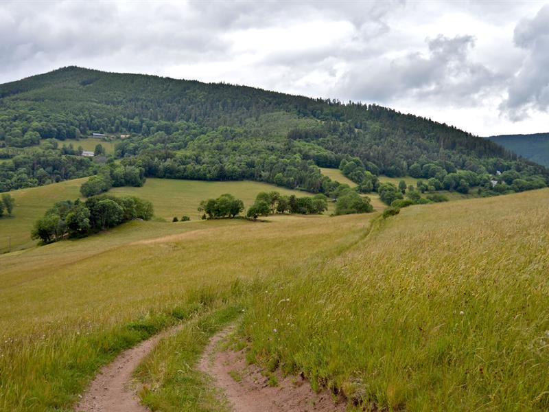 Circuit rando de Lapoutroie au col de Chamont Lapoutroie Grand Est