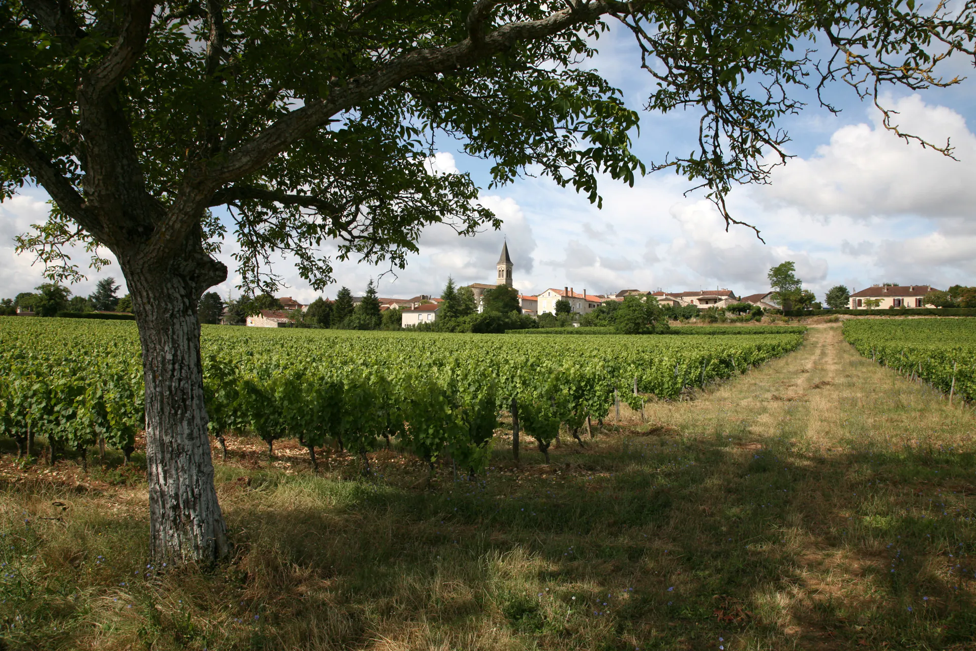 Circuit du Lissourgues Sauzet Occitanie