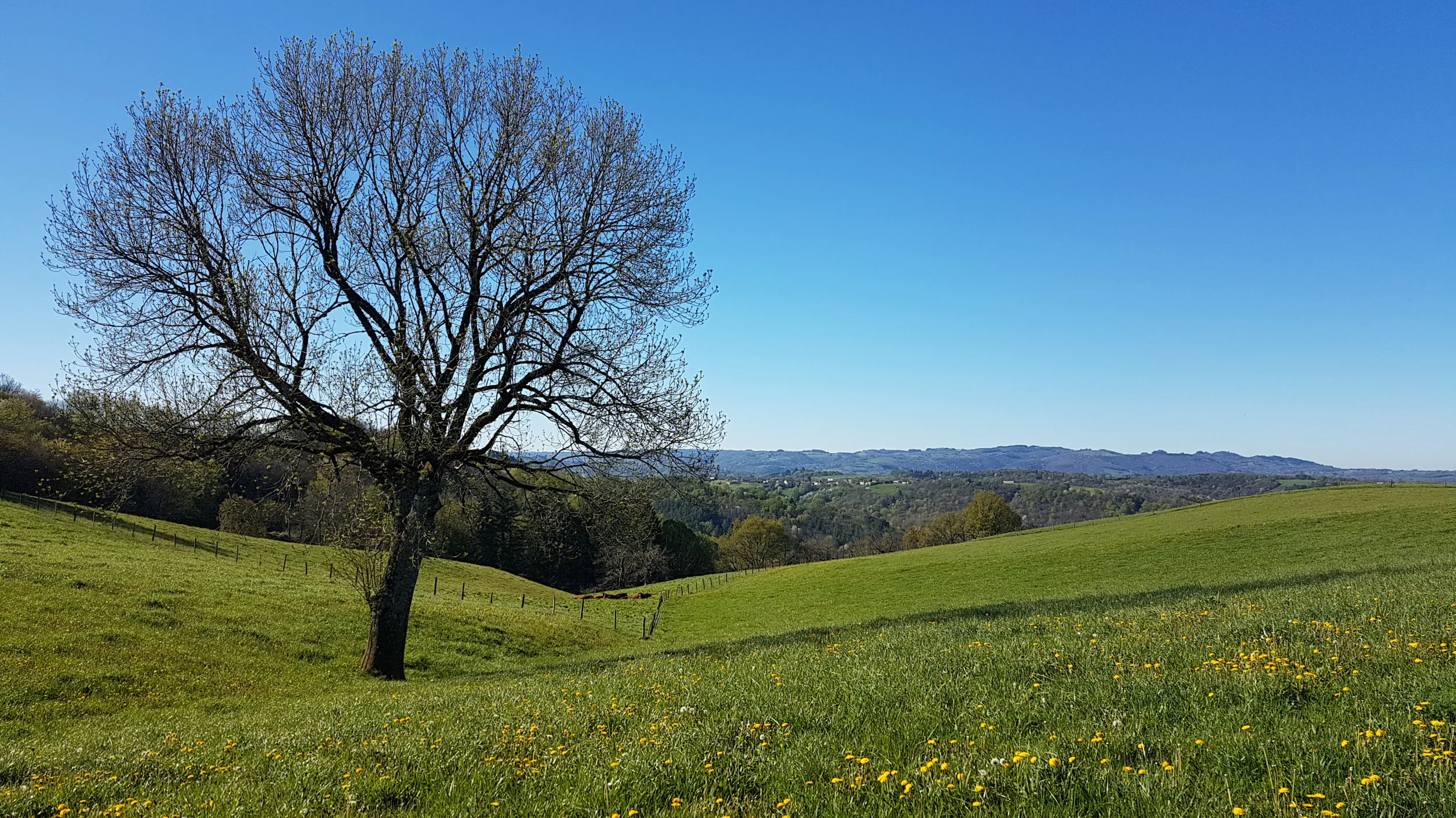 De Teyssieu à Estal Teyssieu Occitanie