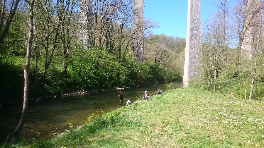 Rivière l'Aveyron parcours no-kill 2e catégorie Rodez Occitanie