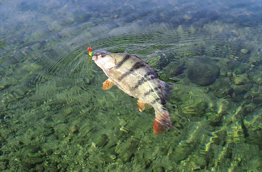 Lac de Cambeyrac Campouriez Occitanie