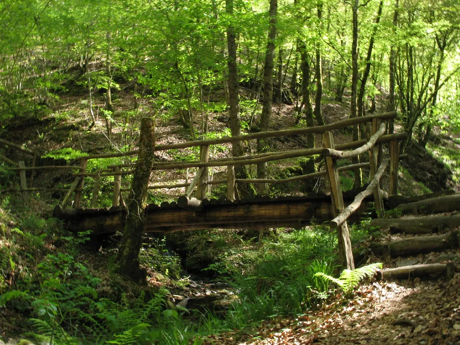 Sentier de l'imaginaire circuit "la Forêt Magique" Taussac Occitanie