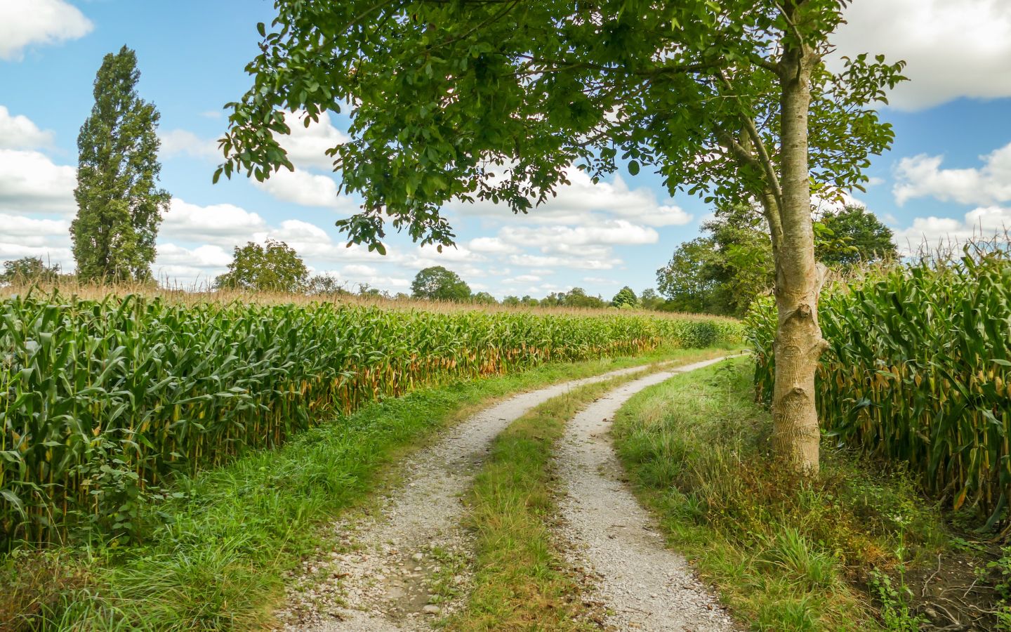 VTC 1 Entre plaine et gave Arros-de-Nay Nouvelle-Aquitaine