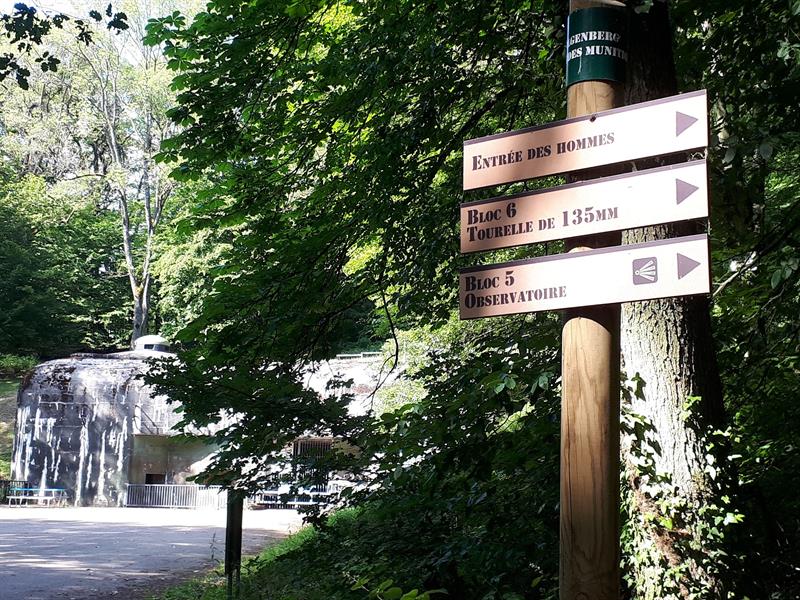 Sentier Ligne Maginot Cattenom Grand Est