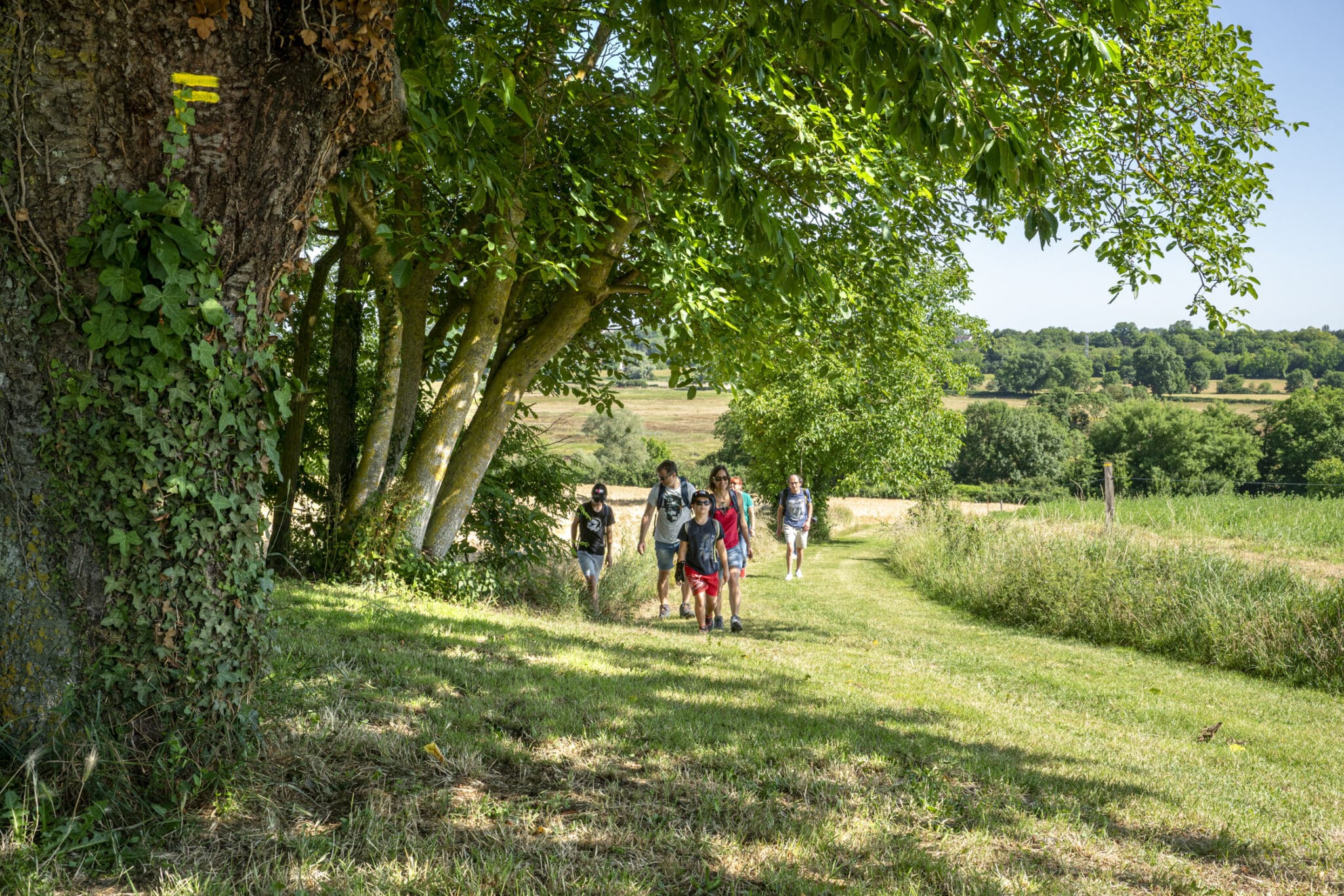 La crézançaynoise Crézançay-sur-Cher Centre-Val de Loire