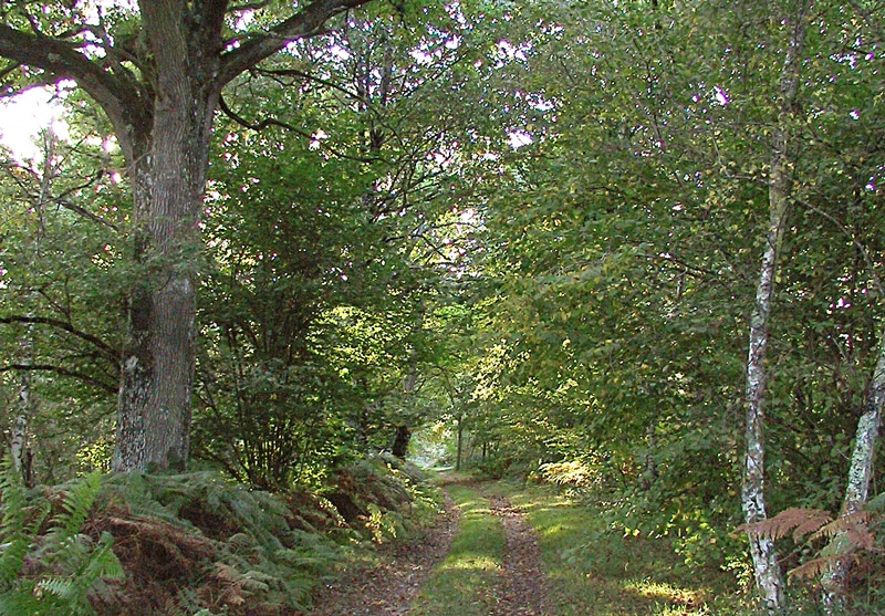 Circuit de la Minardière Billy Centre-Val de Loire