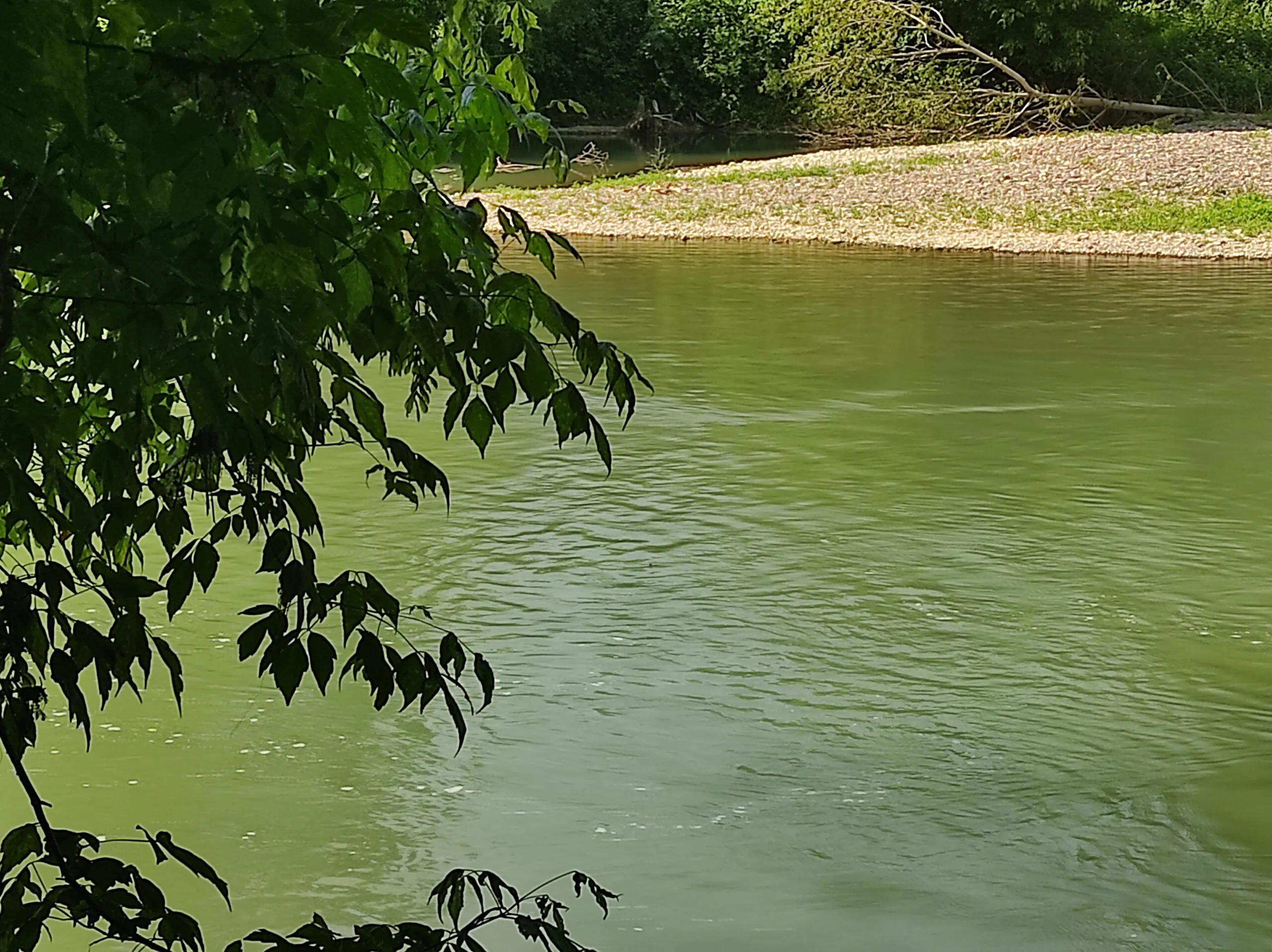 Les Sentiers de l'Adour d'Augreilh à Péré Saint-Sever Saint-Sever Nouvelle-Aquitaine