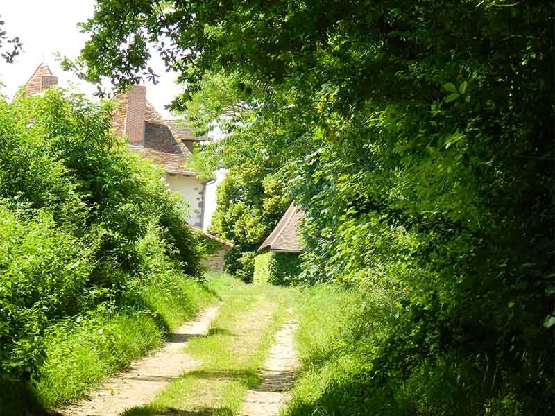 Chemin des écoliers Jourgnac Nouvelle-Aquitaine