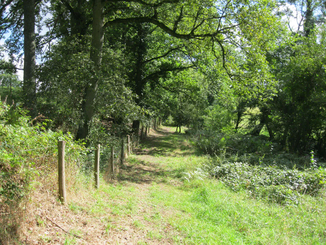 Liaison parc du Mas-Jambost Bois des Vaseix Limoges Nouvelle-Aquitaine