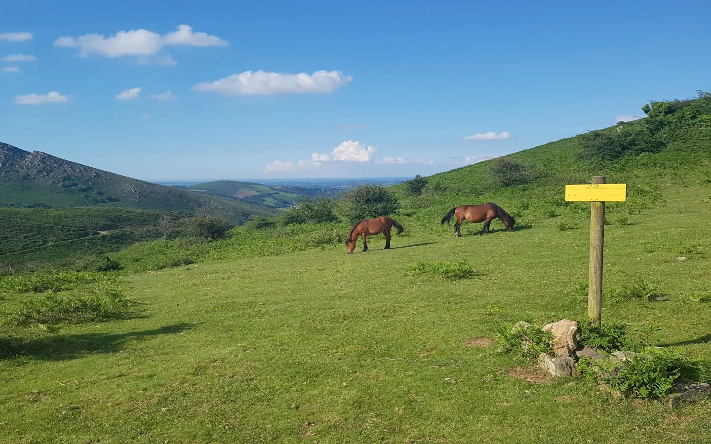 Le sentier des contrebandiers De Sare à Biriatou équestre Sare Nouvelle-Aquitaine