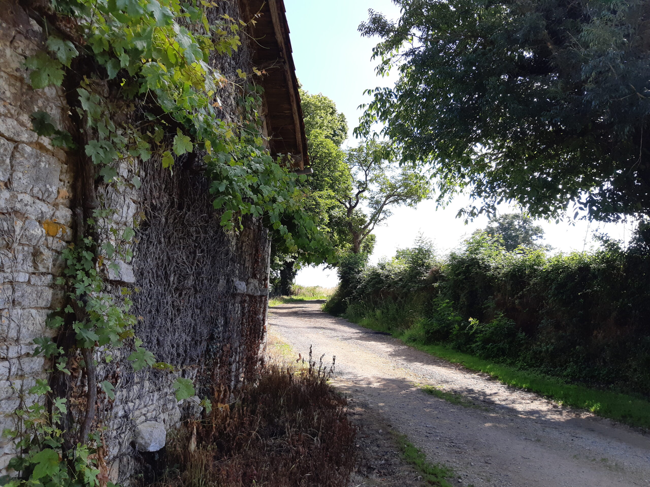 Sentier huguenot Beaussais Beaussais-Vitré Nouvelle-Aquitaine