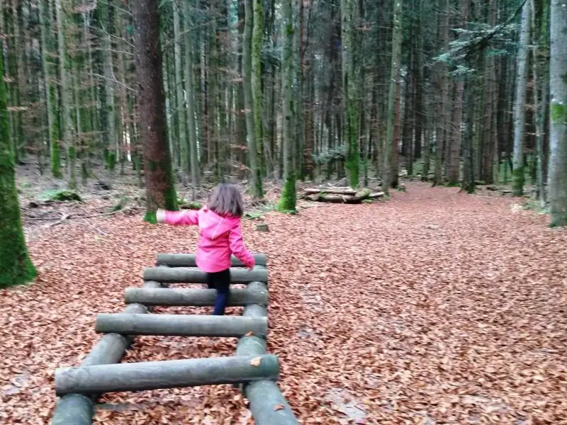 Parcours de santé du Hohwald Le Hohwald Grand Est