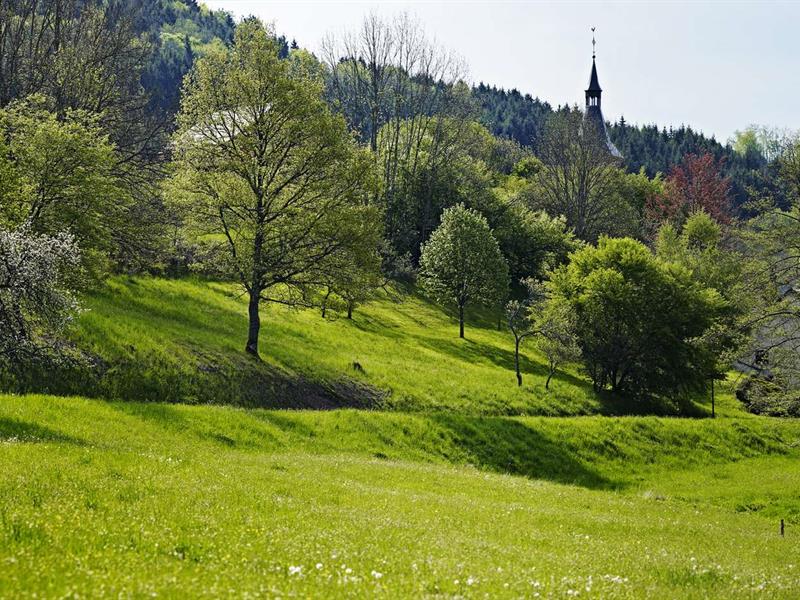 Circuit rando H10 Les hauts de Ranrupt Ranrupt Grand Est