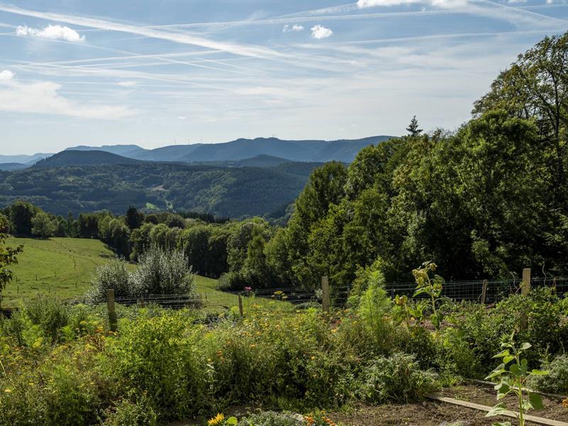 Circuit vélo C15 Autour du Promont Schirmeck Grand Est