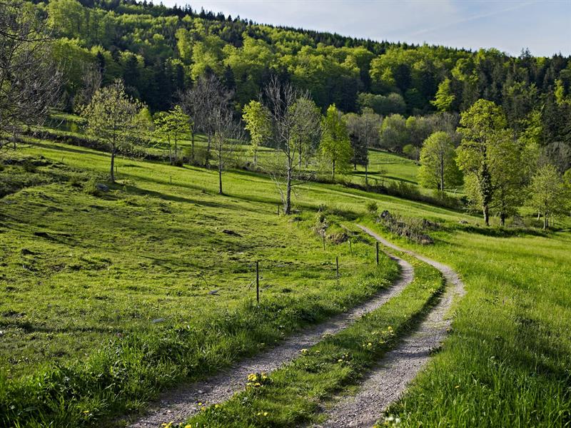 Circuit vélo C21 Des Quelles à Bellefosse Schirmeck Grand Est