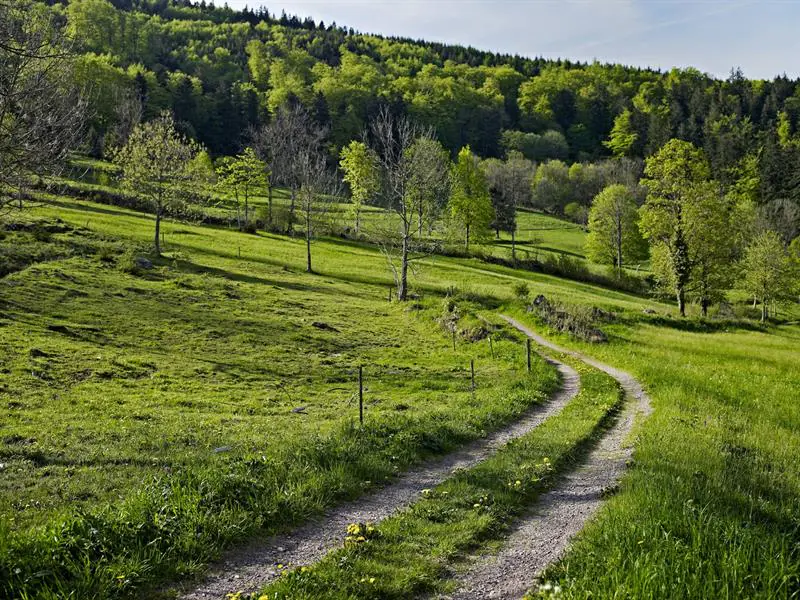 Circuit vélo C21 Des Quelles à Bellefosse Schirmeck Grand Est