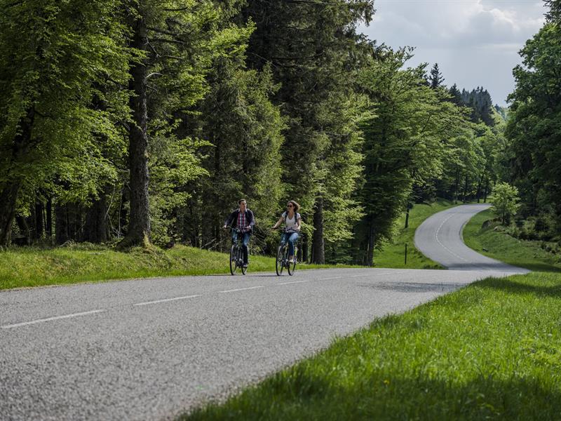 Circuit vélo H04 Le tour du versant est de la haute vallée de la Bruche Schirmeck Grand Est