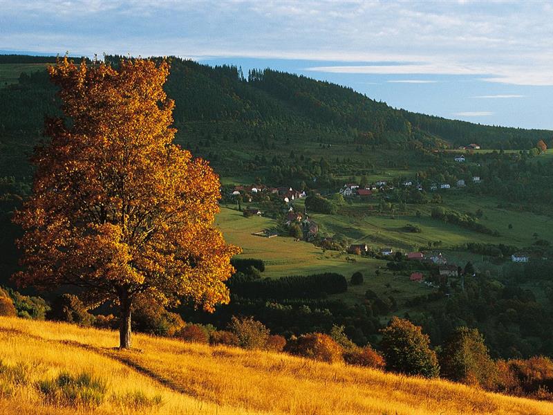 Circuit vélo B06 De Grendelbruch à la Perheux Schirmeck Grand Est