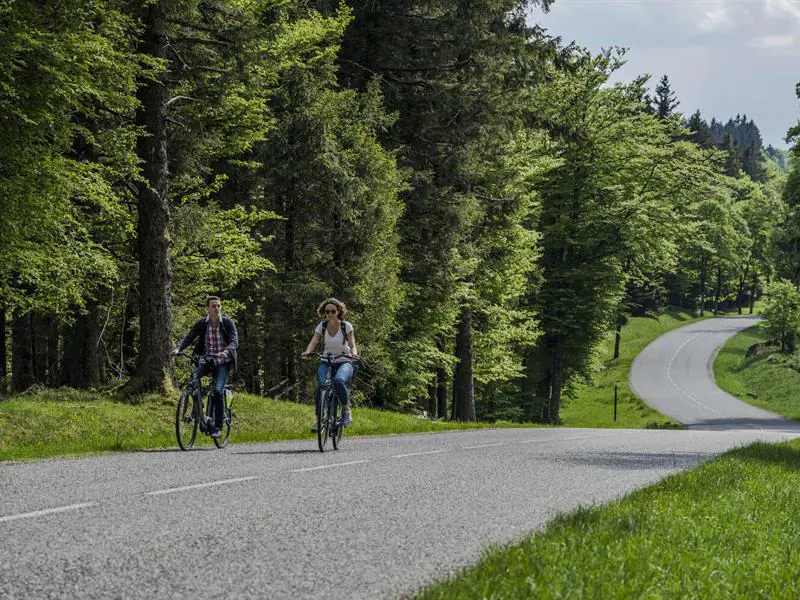 Circuit vélo CDF01 Autour de la chaume des Veaux Belmont Grand Est