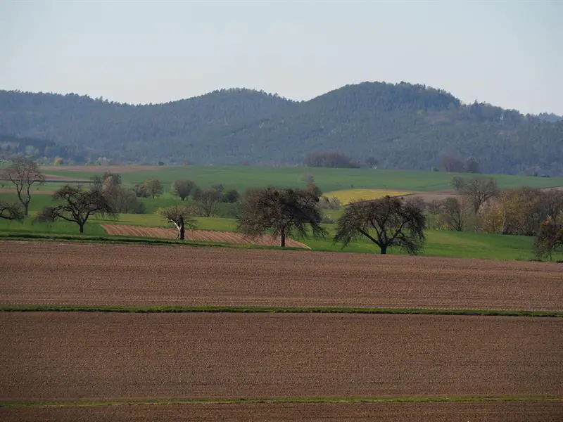 Circuit du Hamberg Obermodern-Zutzendorf Grand Est