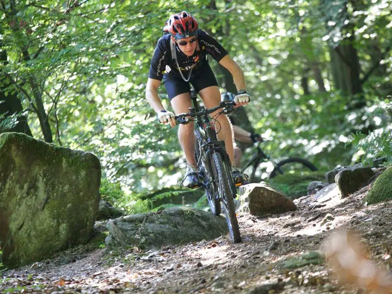 Circuit VTT du Grand Wintersberg Niederbronn-les-Bains Grand Est