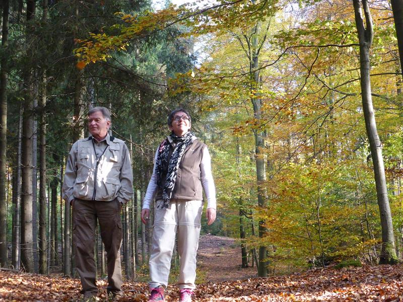 Balade circulaire autour du Grand Wintersberg Niederbronn-les-Bains Grand Est